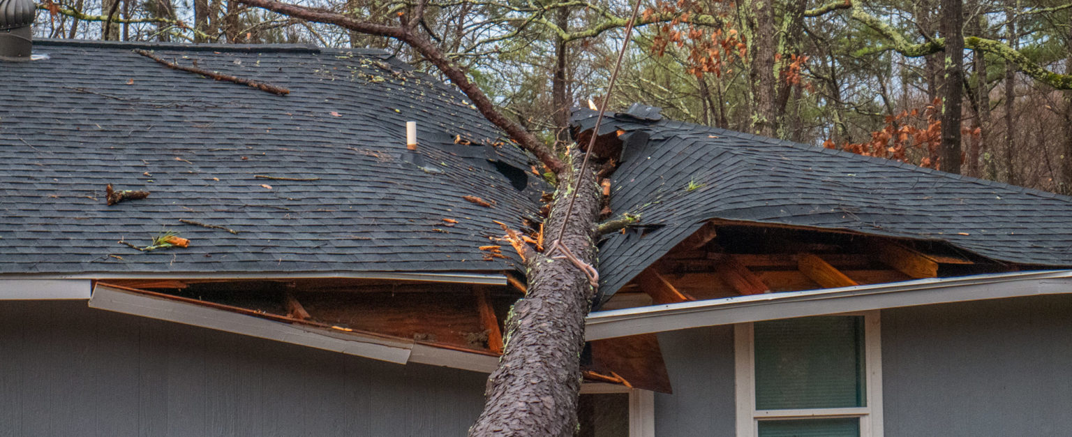 tree damage to shingle roof and structure