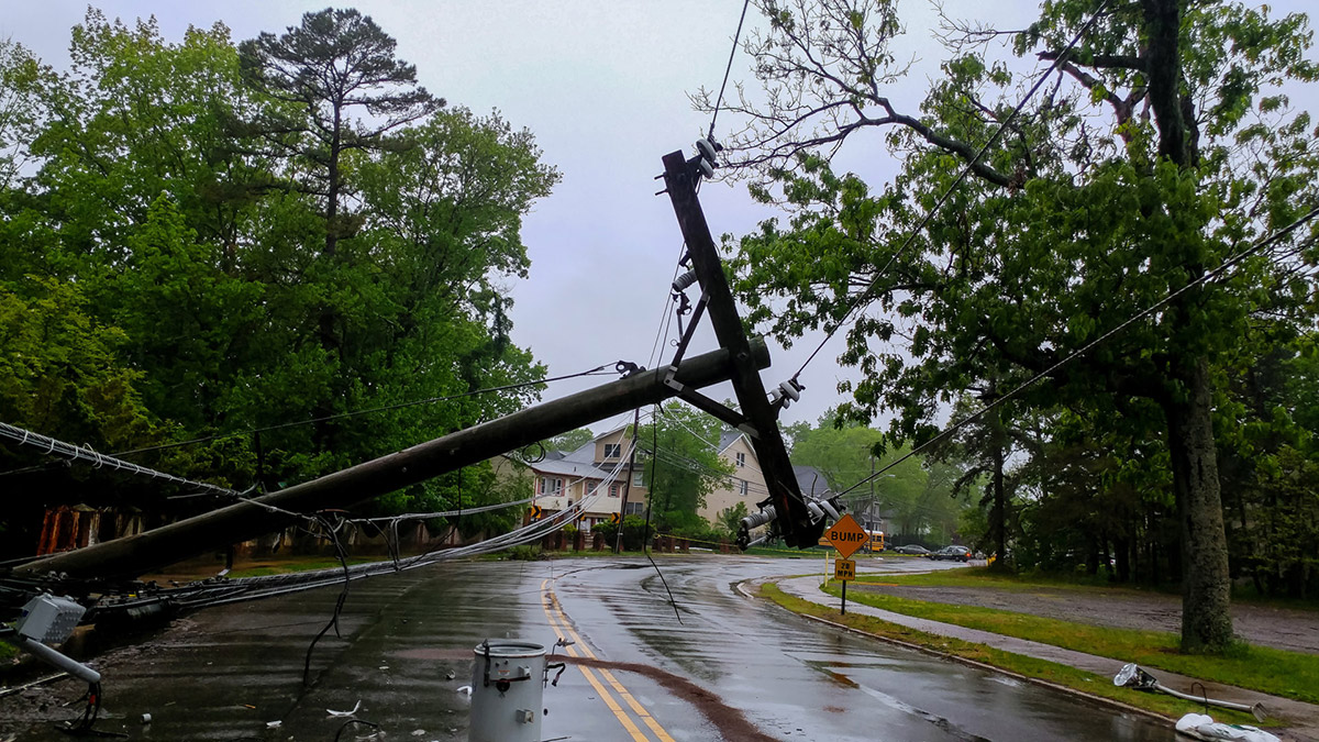 transformer on a pole and a tree laying across power lines over a road after hurricane moved across