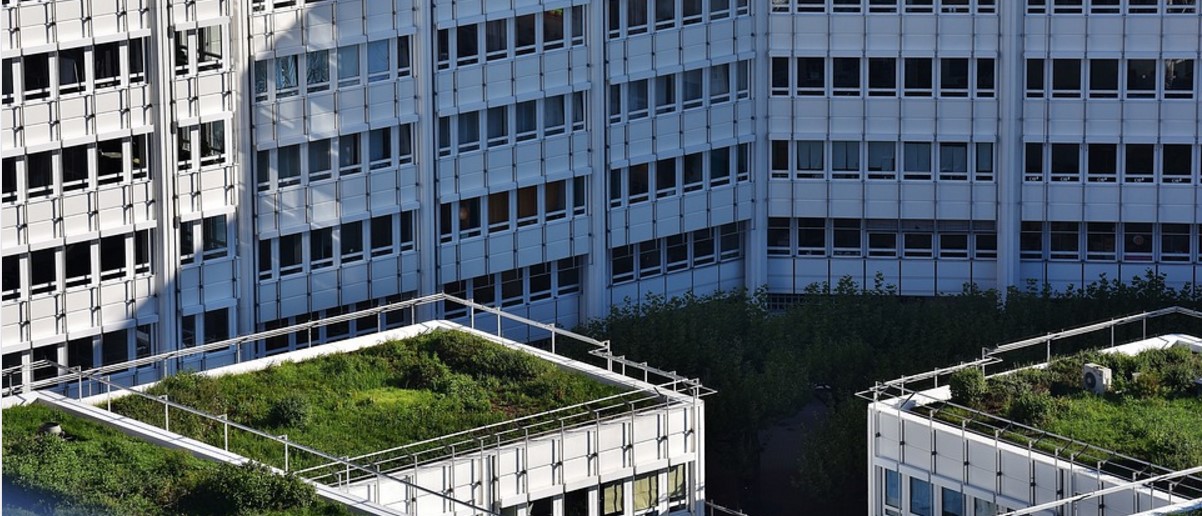 commercial green roofs