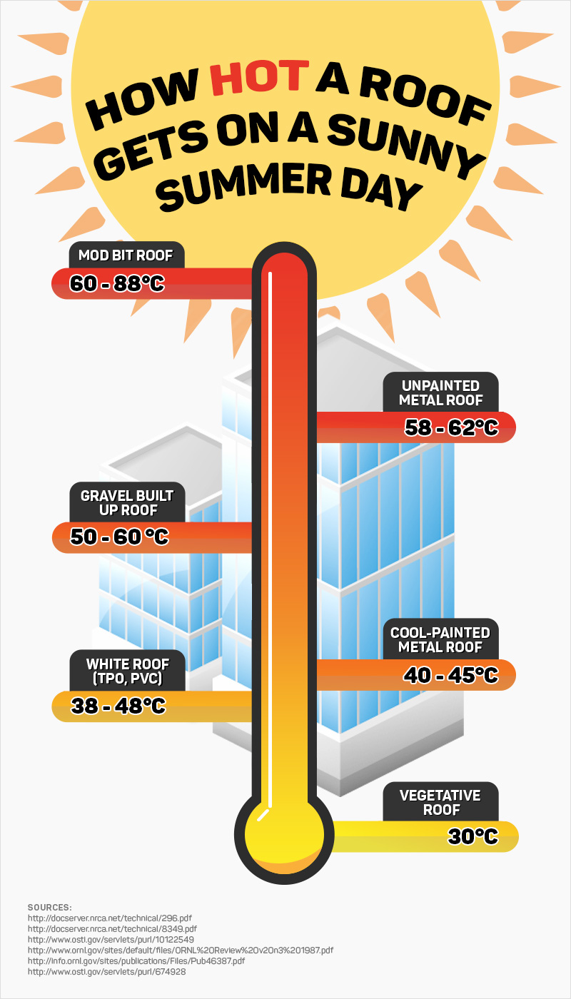 How Hot do Roofs Get in the Summer infographic