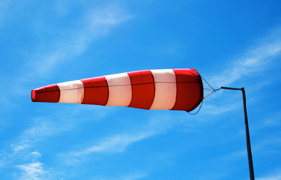 windsock to keep birds off roof