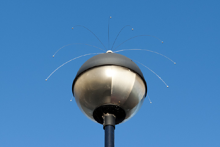 bird spider for roof 