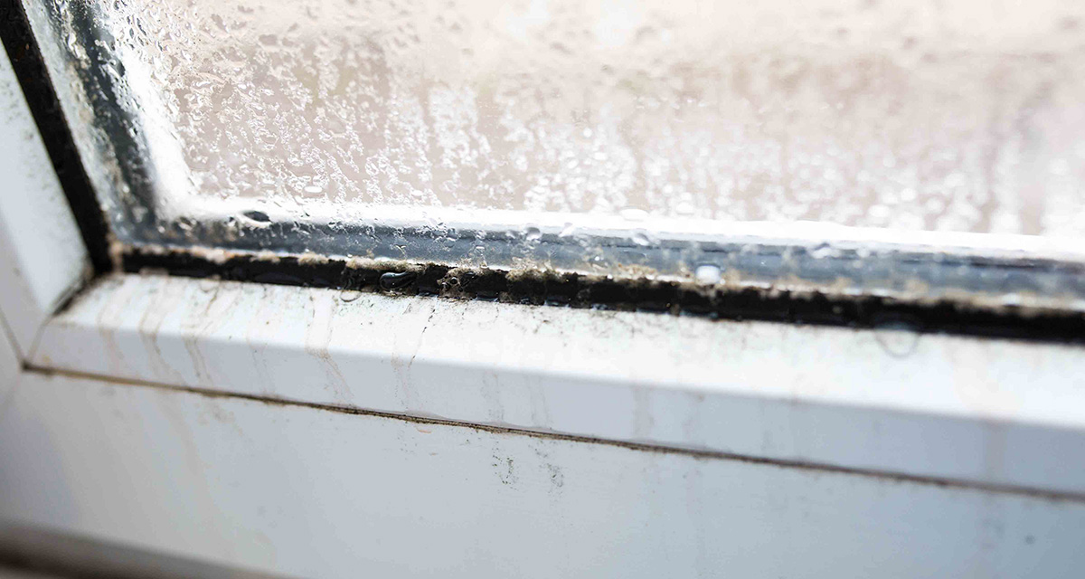 mold on a foggy window due to condenstation