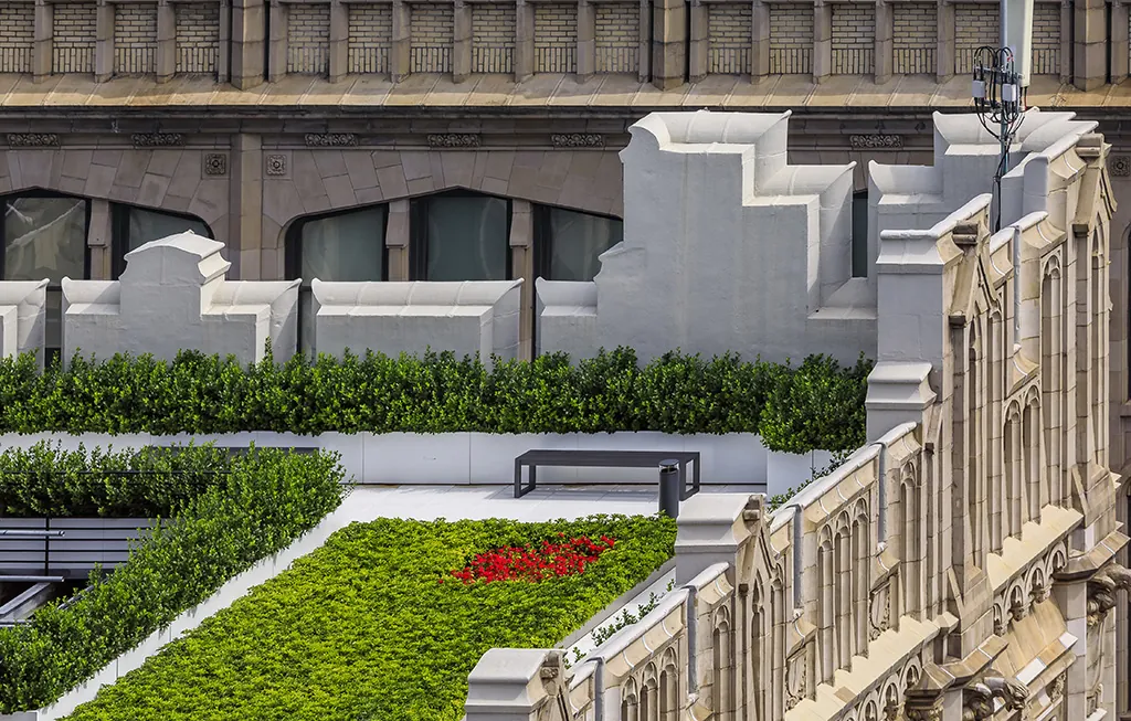 Green Roof garden building