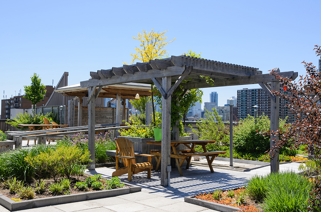 Green Roof Garden on building rooftop