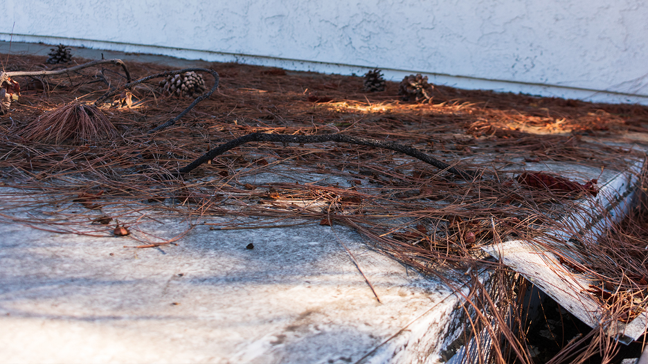 clean commercial roof of debris