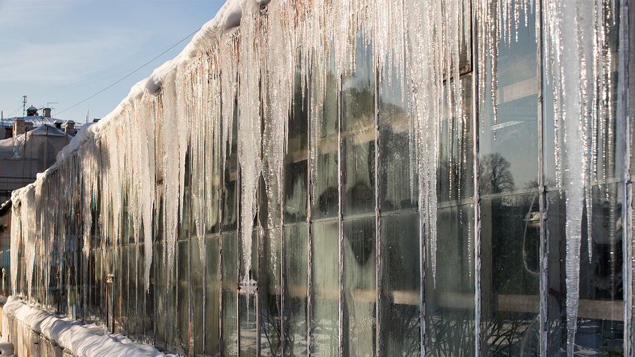 flat roof care in winter 