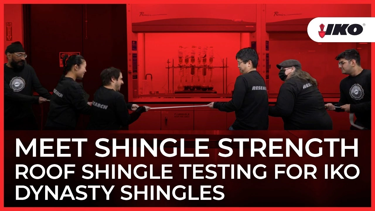 Six people in black shirts stand against a red background, energetically engaged in a rope pulling activity. Text reads: "Meet Shingle Strength Roofing, showcasing IKO Dynasty Shingles Testing.