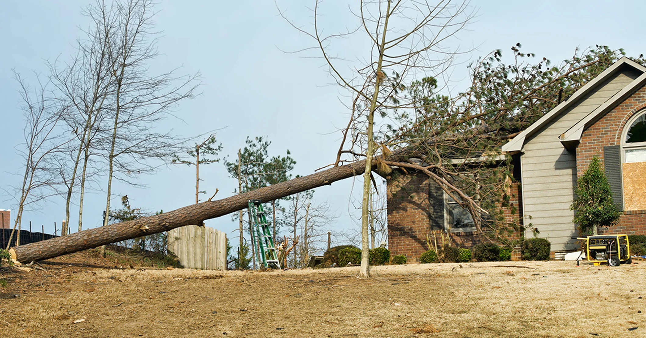 Large tree fallen onto the roof of a brick home, causing visible storm damage to the structure