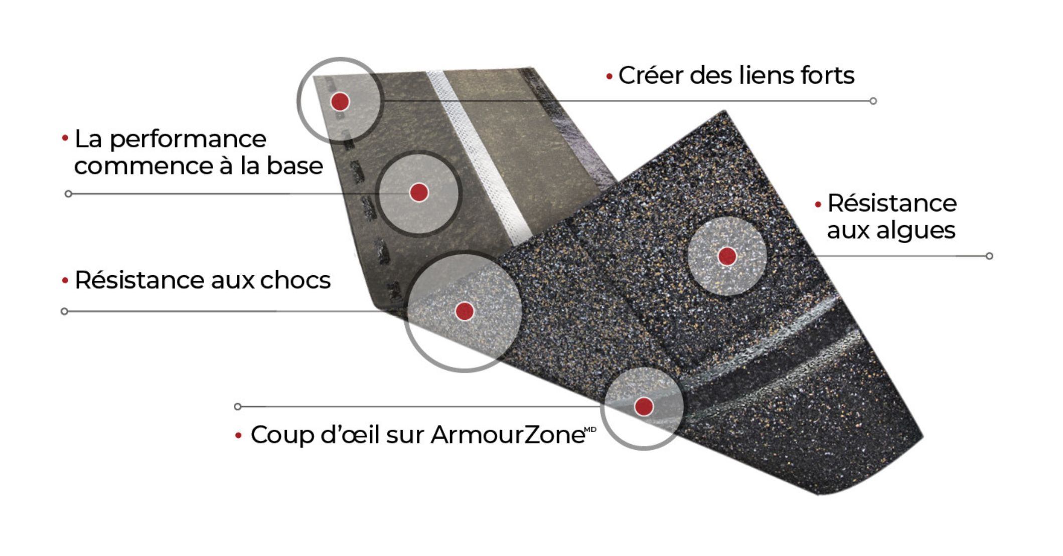Schéma d’un bardeau d’asphalte IKO mettant en évidence ses caractéristiques : Résistance exceptionnelle du noyau, résistance aux chocs, ArmourZone, adhérence exceptionnelle et résistance intégrée aux algues.