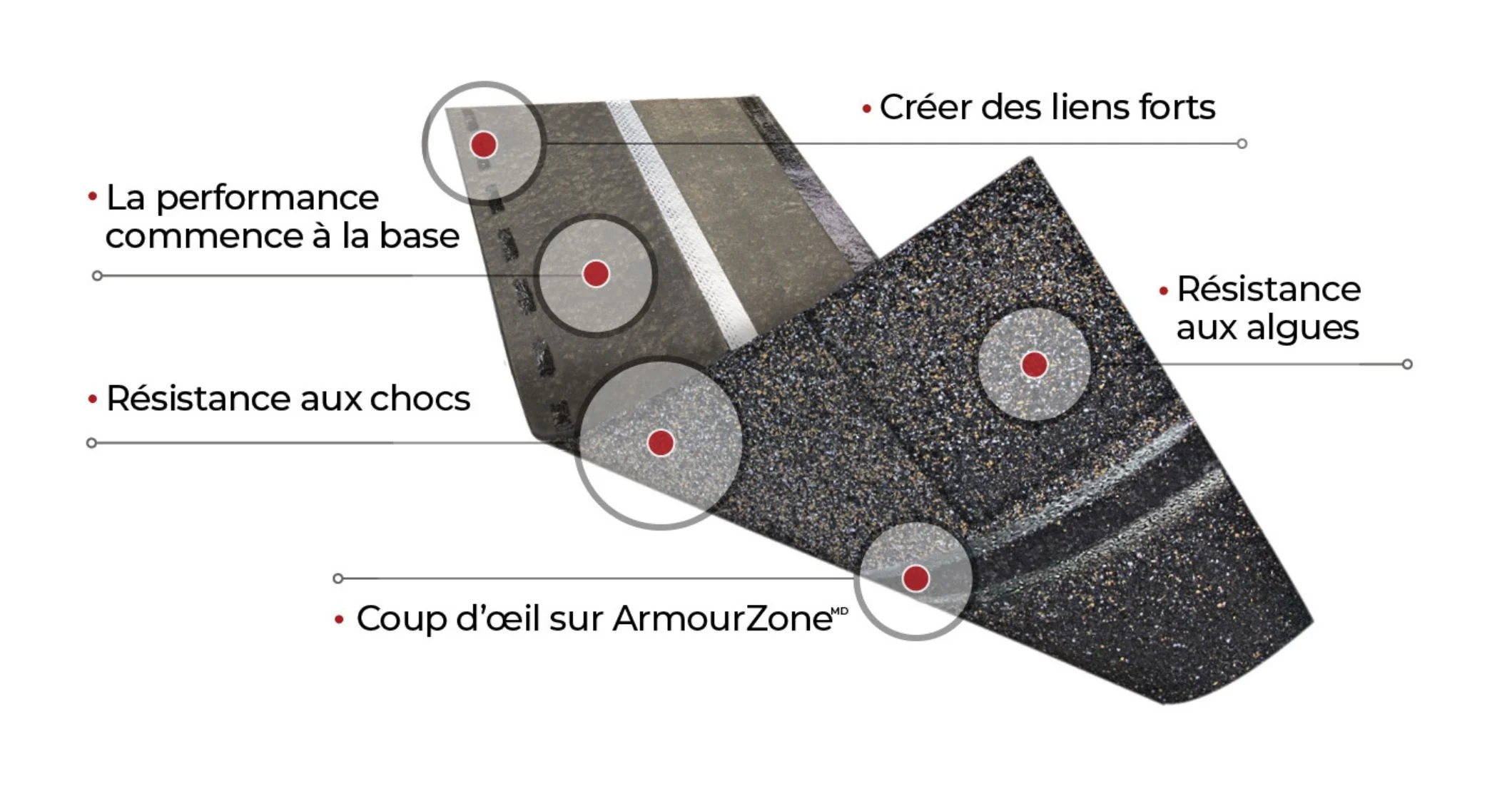 Schéma d’un bardeau d’asphalte IKO mettant en évidence ses caractéristiques : Résistance exceptionnelle du noyau, résistance aux chocs, ArmourZone, adhérence exceptionnelle et résistance intégrée aux algues.