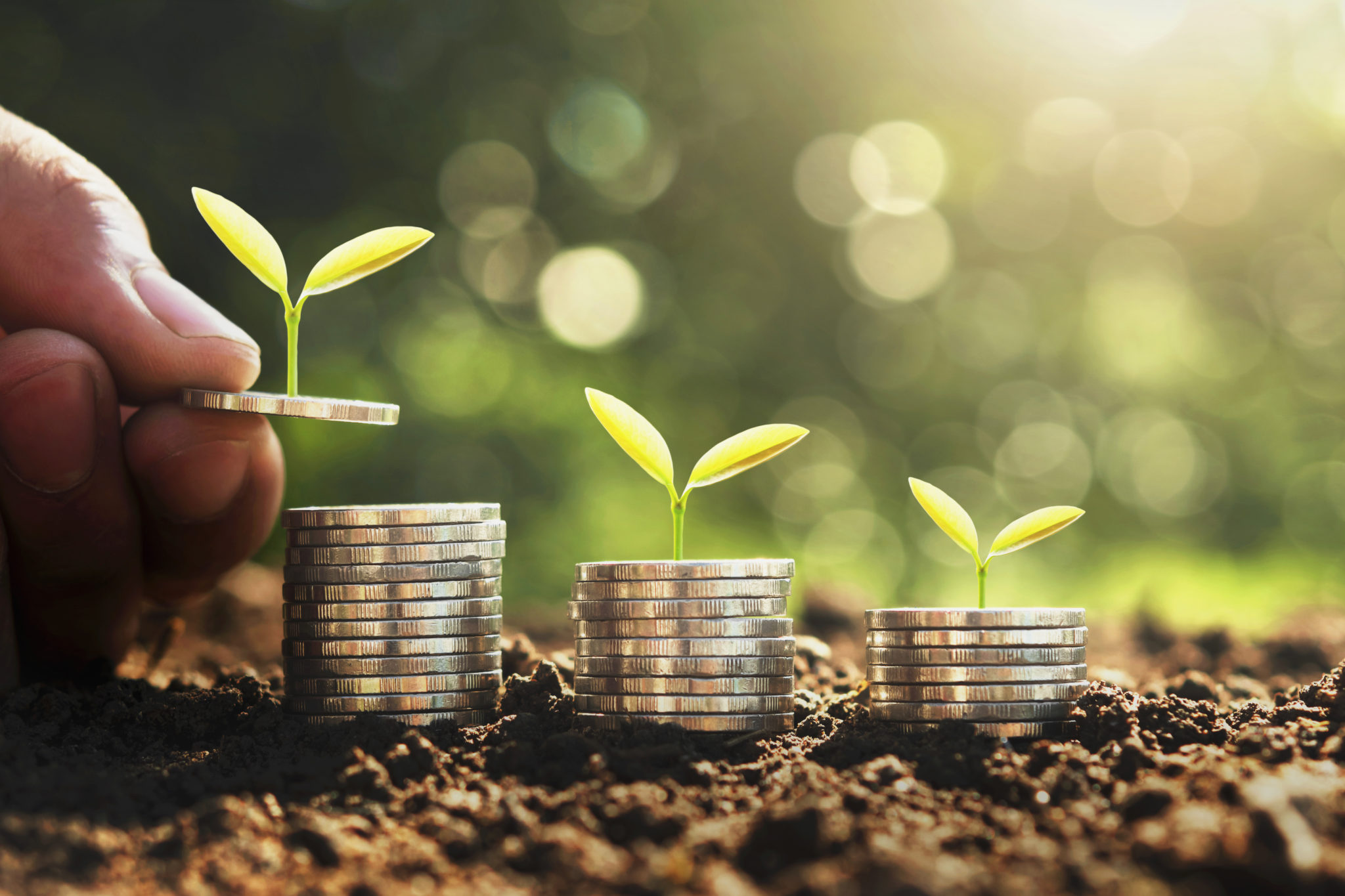 Seedlings sprouting from stacks of coins in soil, with a hand placing a coin on the first stack.