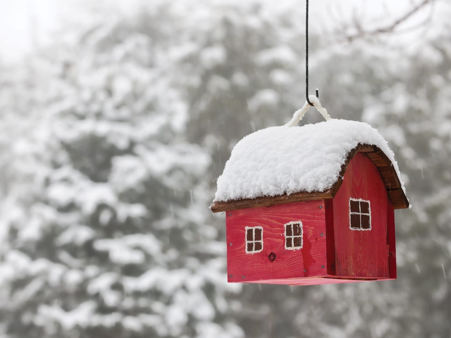 Red birdhouse hanging from a cord with snow on its roof in a snowy winter scene
