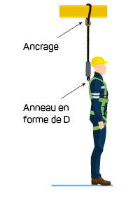 Anchor = Ancrage. D-Ring = Anneau en D. Sch&eacute;ma d&rsquo;un couvreur portant un casque de protection, utilis&eacute; pour montrer &agrave; quoi doit ressembler un harnais de couvreur avant une chute, avec l&rsquo;ancrage fix&eacute; sur un pilier et l&rsquo;anneau en D rattachant l&rsquo;ancrage au couvreur.