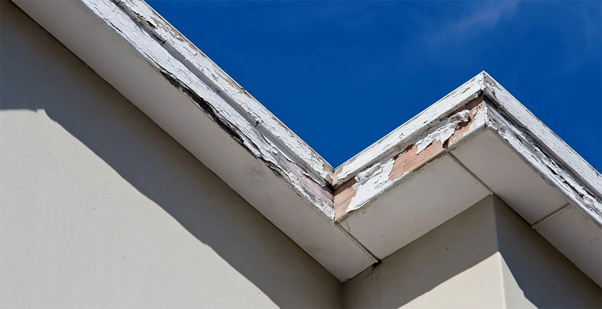 damaged fascia board