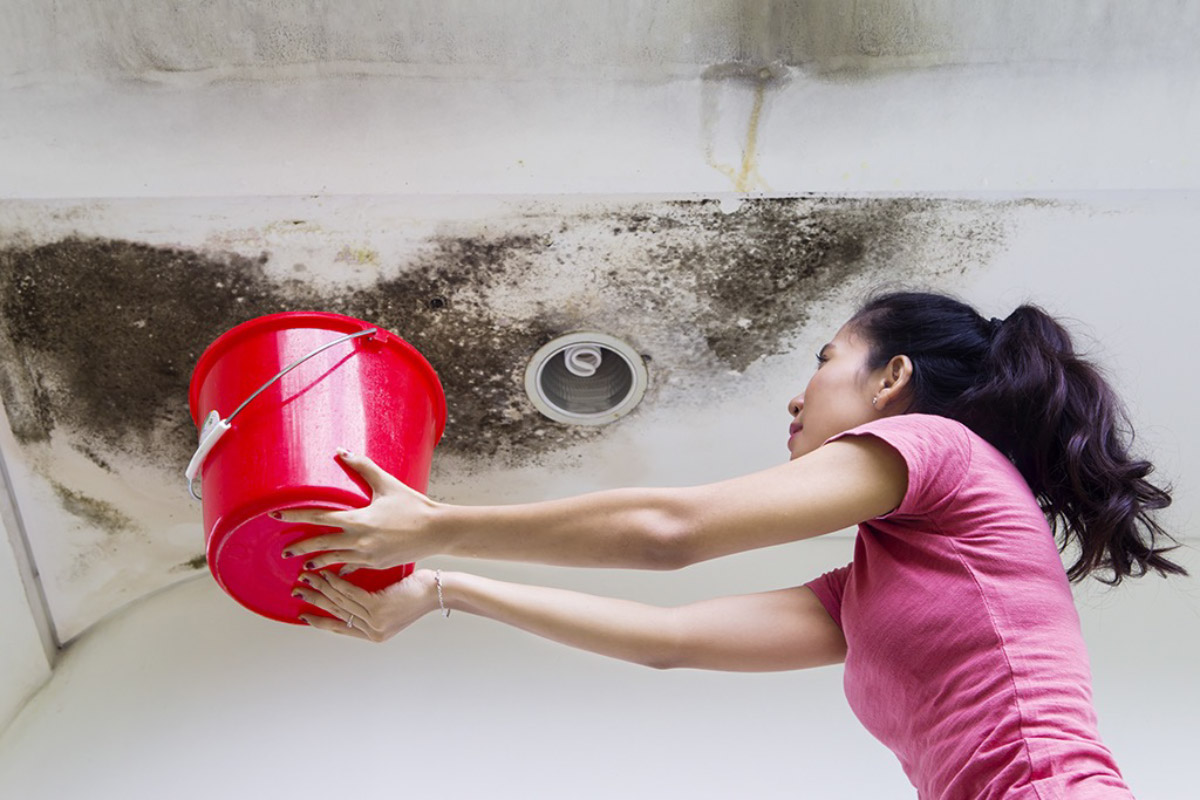 Woman holding a red bucket under a moldy water-stained ceiling to catch a roof leak