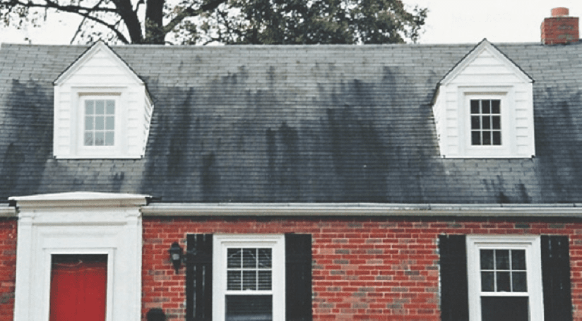 roof with algae streaks
