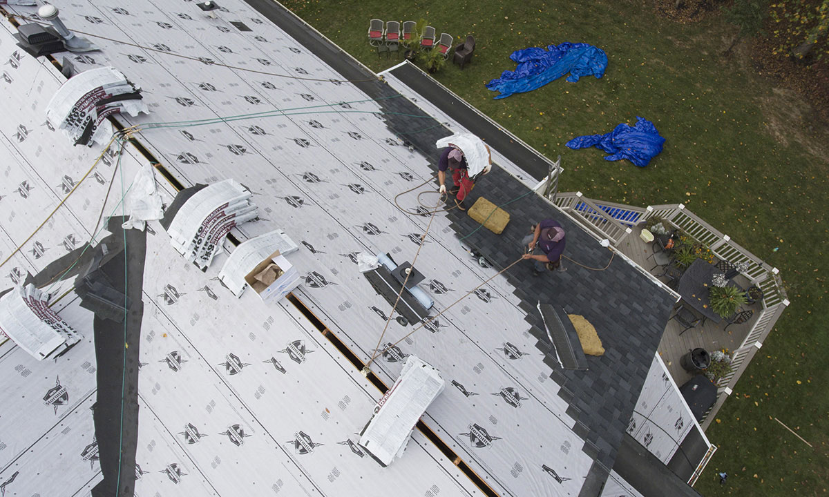 Aerial view of roofers installing shingles on a roof covered with white underlayment, with blue tarps on the lawn