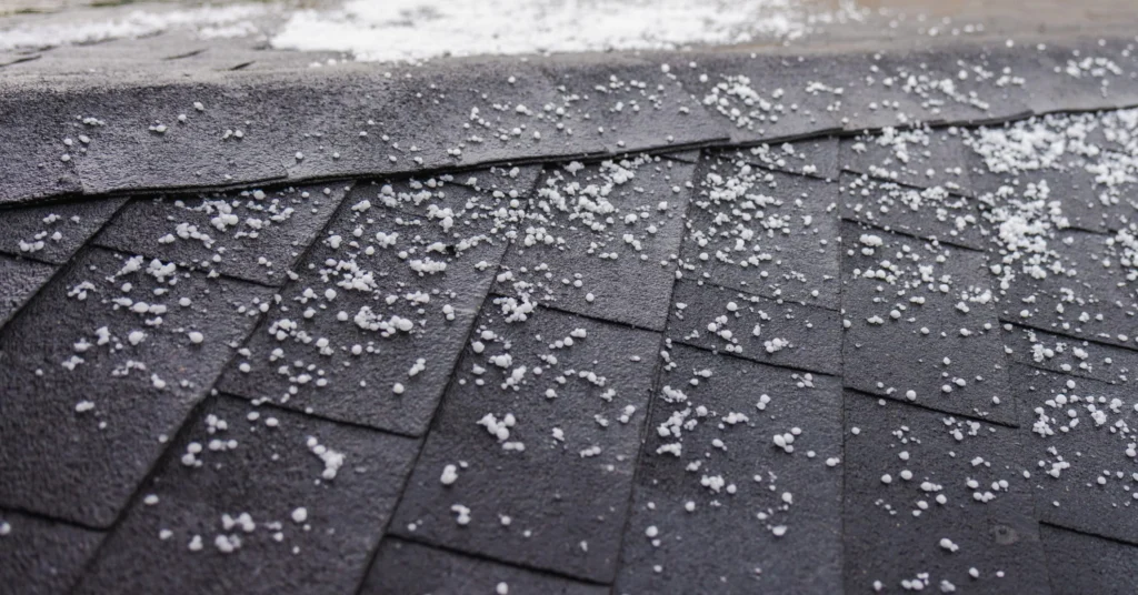 A thin layer of small hailstones on top of roofing shingles.