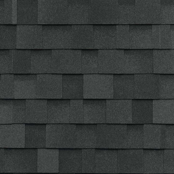 Dual Black shingle swatch