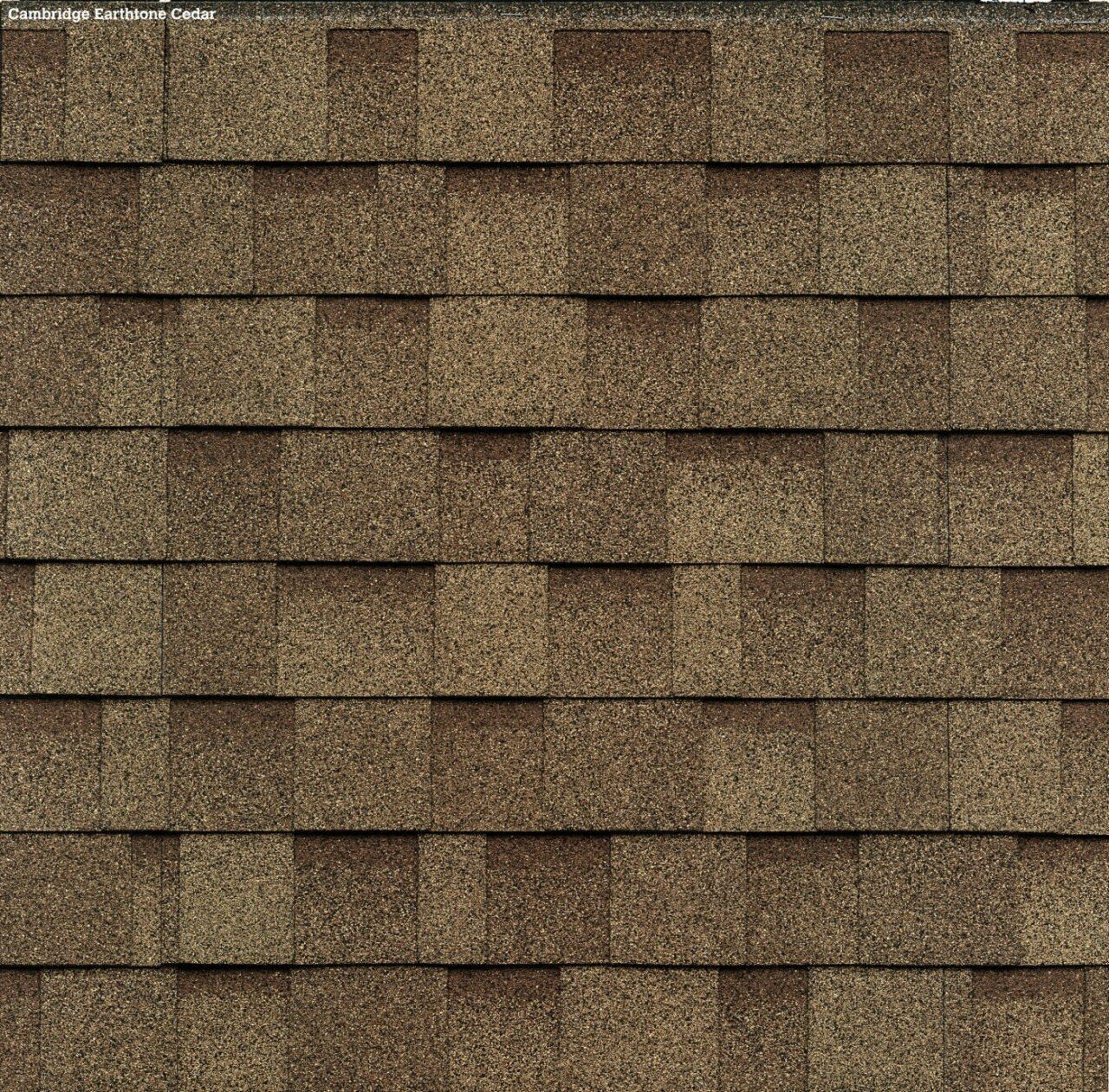 Des bardeaux d'asphalte bruns, rappelant la couleur Earthtone Cedar, sont disposés en un motif uniforme sur le toit Cambridge.