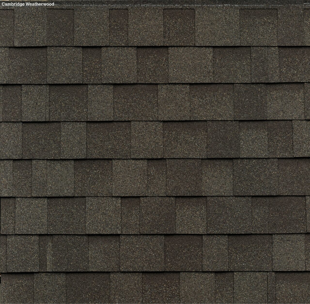 Gros plan de bardeaux d'asphalte superposés de teinte Weatherwood, disposés en un motif rappelant le style classique Cambridge.