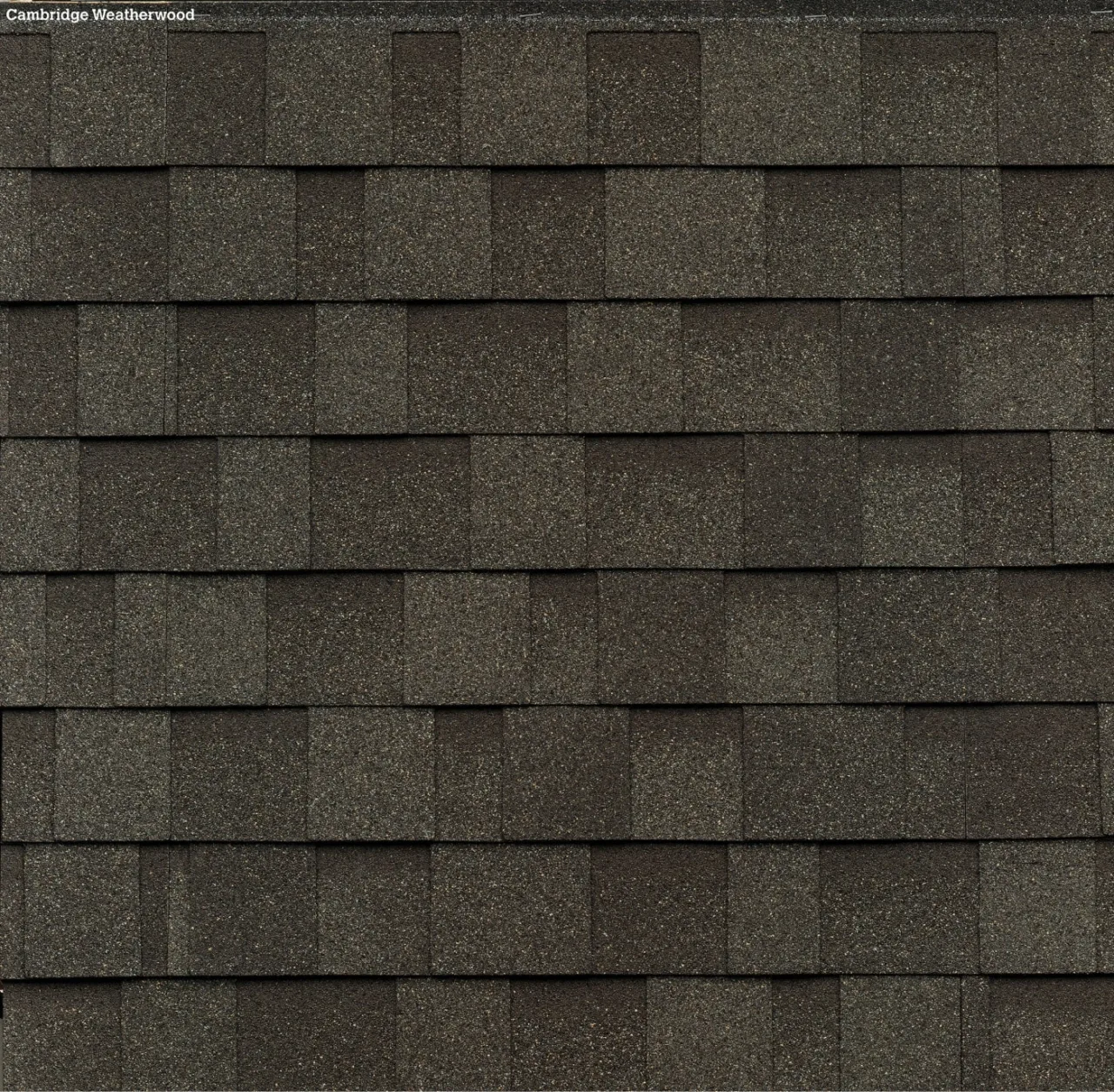 Gros plan de bardeaux d'asphalte superposés de teinte Weatherwood, disposés en un motif rappelant le style classique Cambridge.