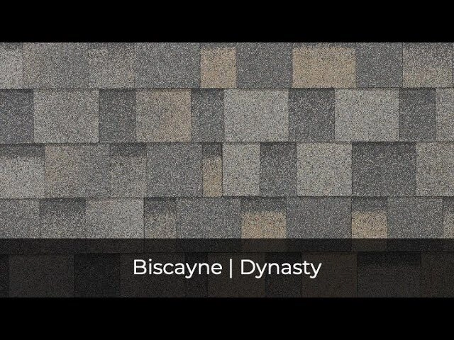 Close-up of a textured gray and beige shingle roof, showcasing the IKO Roof Shingle Colors. A label "Biscayne | Dynasty" at the bottom highlights its performance.