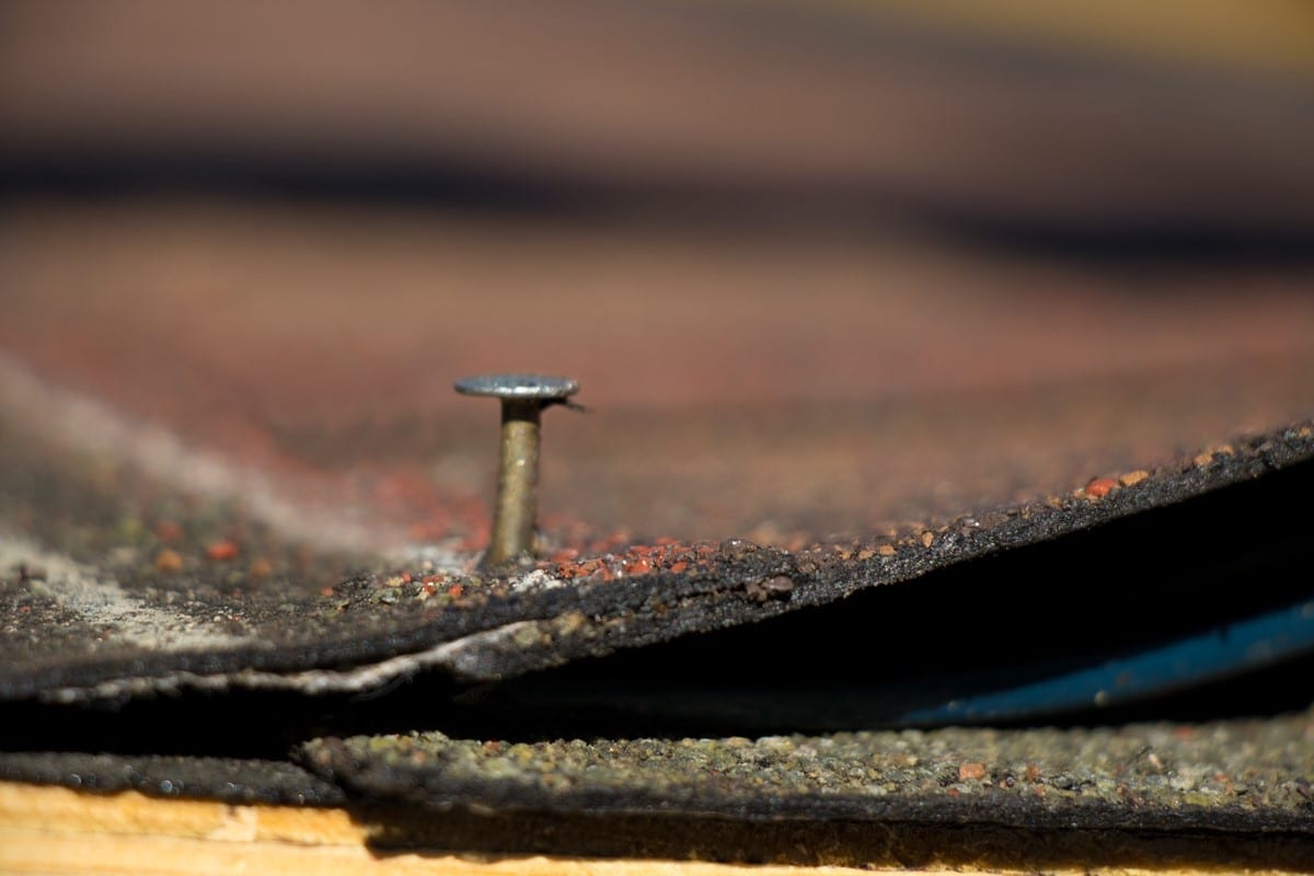 roofing nail pulled out from shingle