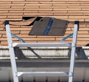 roofing ladder being used to replace shingles