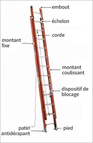 parts of a ladder