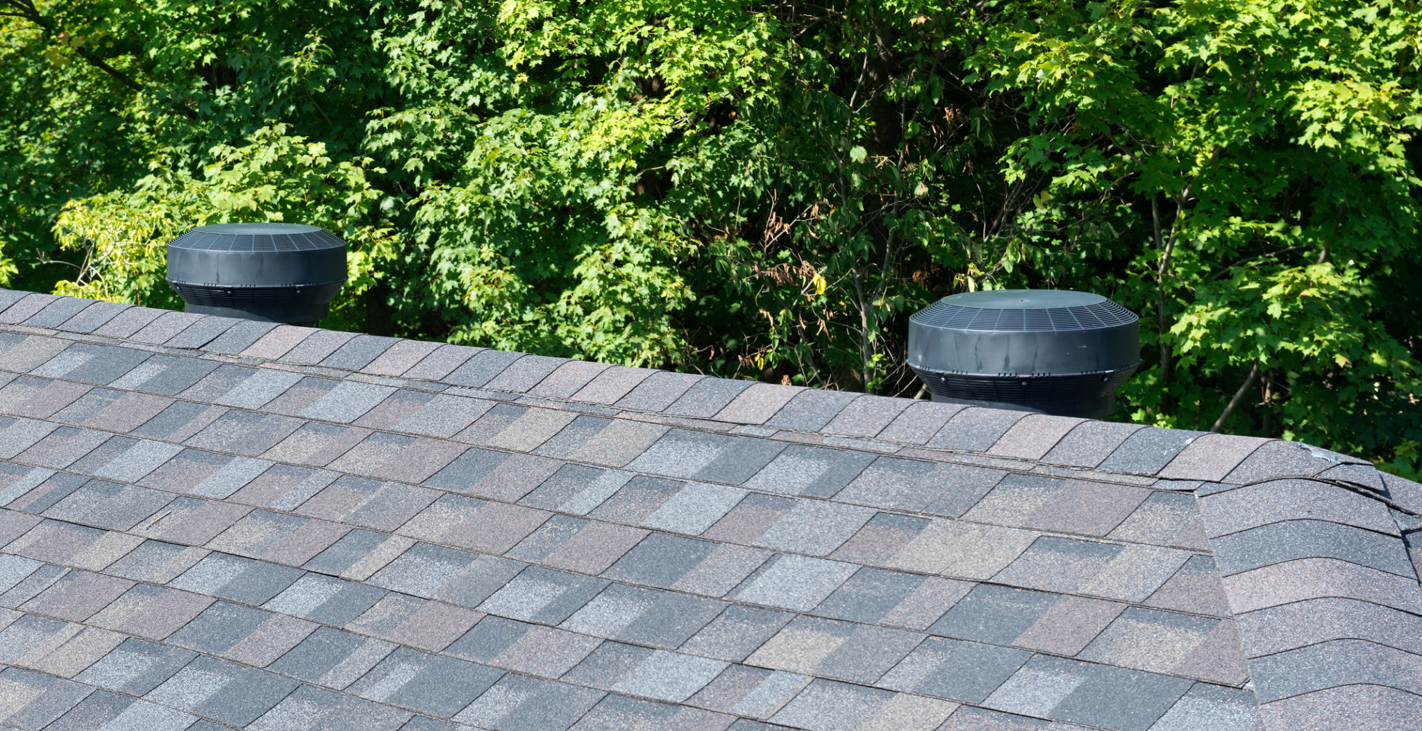 Intake vents on a shingle roof