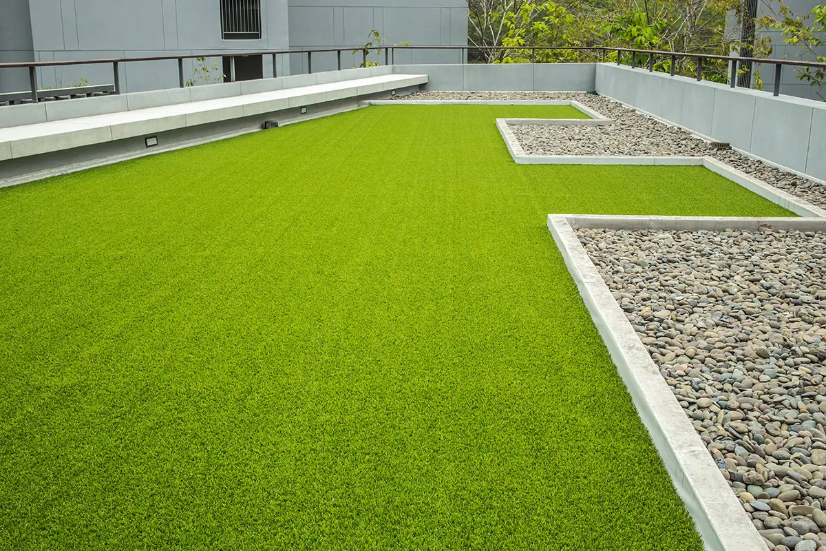 grass grown on rooftop