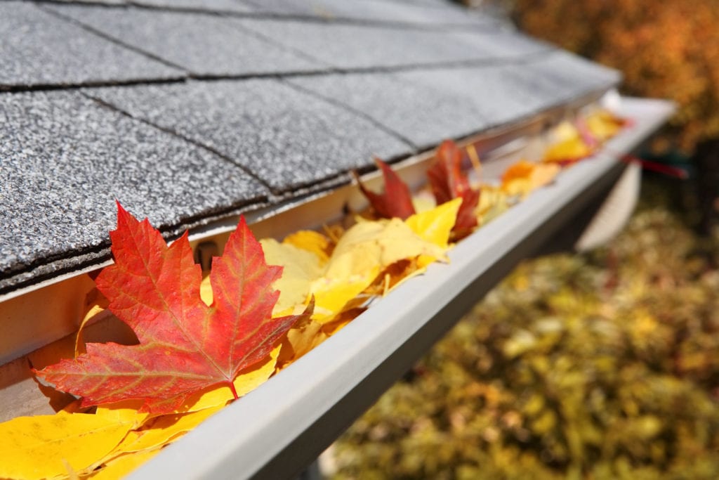 learing your eavestroughs of leaves in the fall