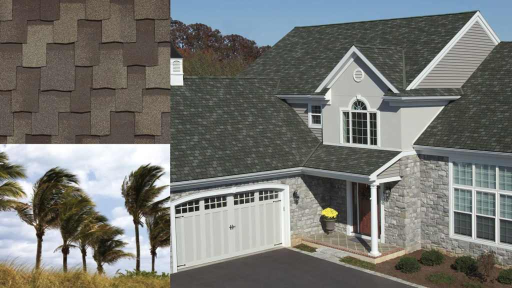 montage of a house, shingles, and palm trees