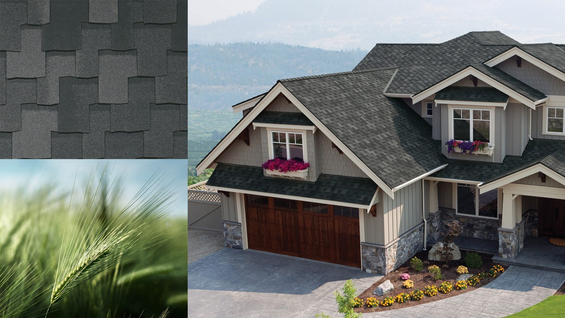 montage of long grass, shingles, house