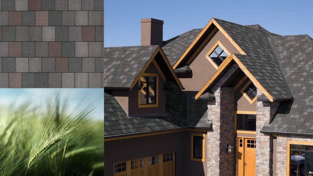 montage of long grass, shingles, house