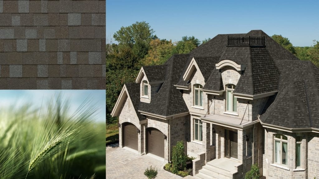 montage of a house, shingles, and long grass