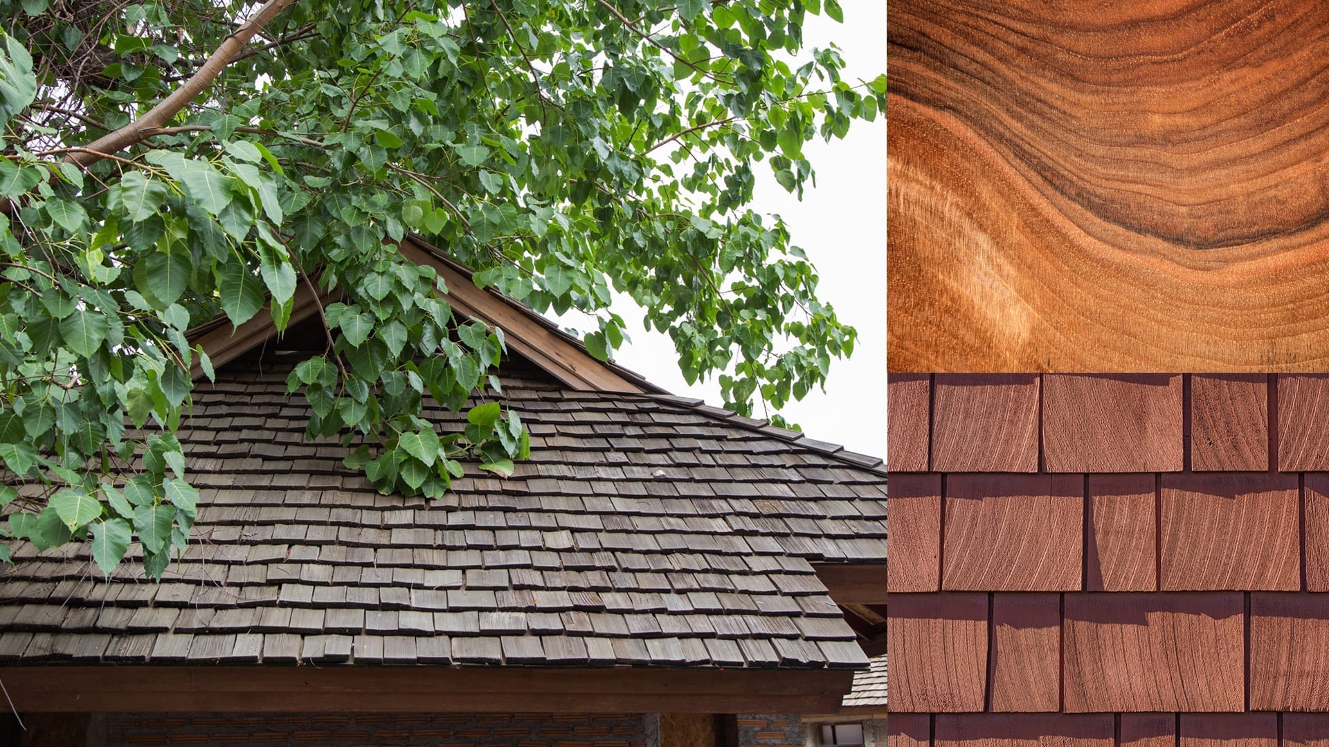 montage of wood shake roofs