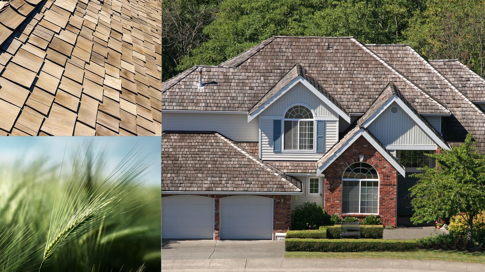 montage of wood shakes and long grass