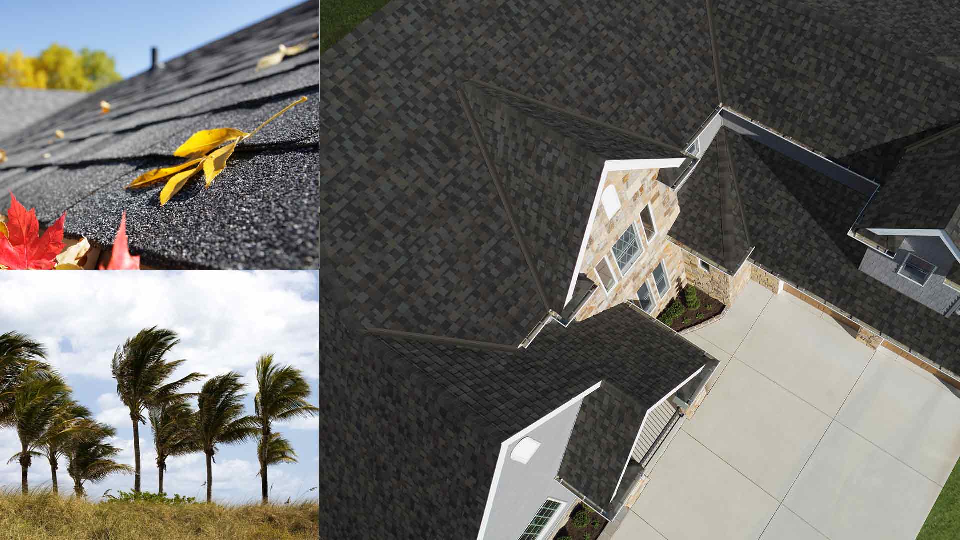 montaje de la vista aérea de un techo, hojas en tejas y palmeras