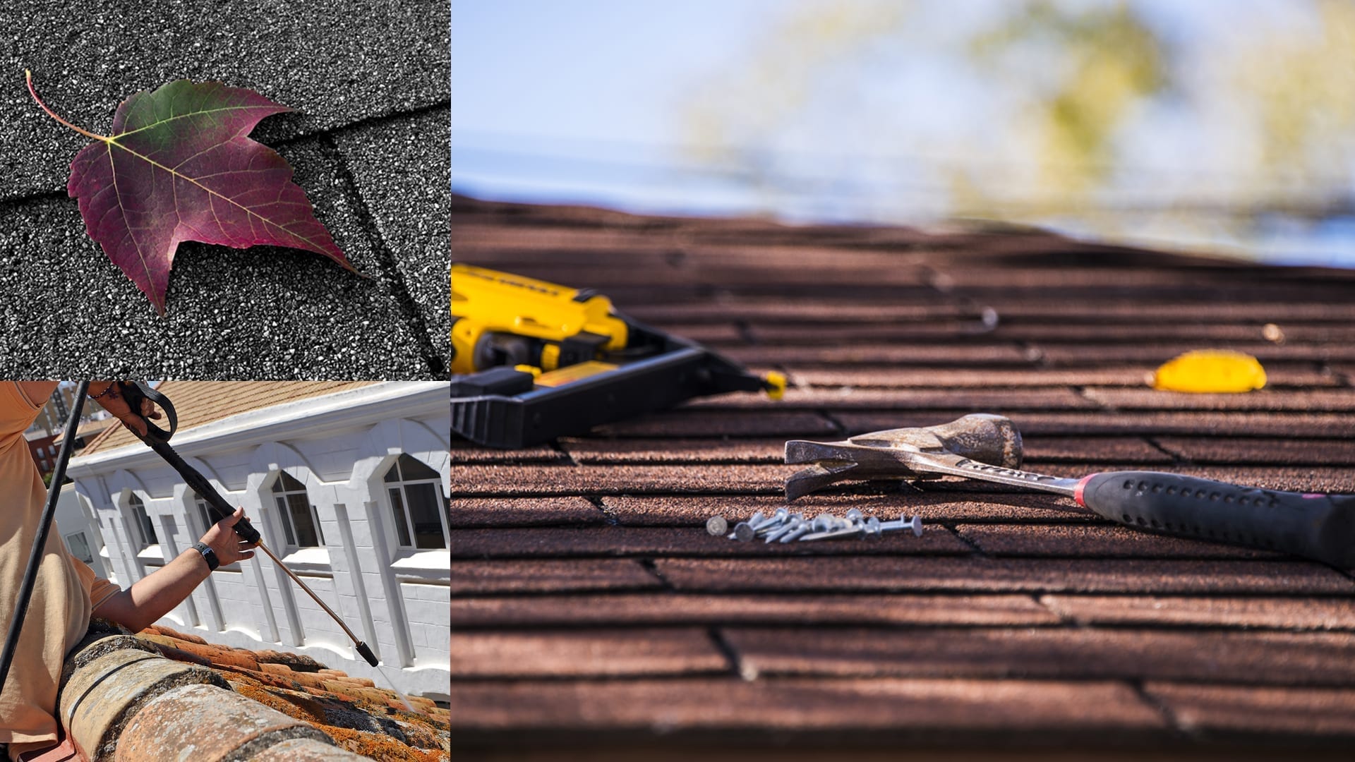 montage of leaf on a shingle, roof spraying and roofing tools