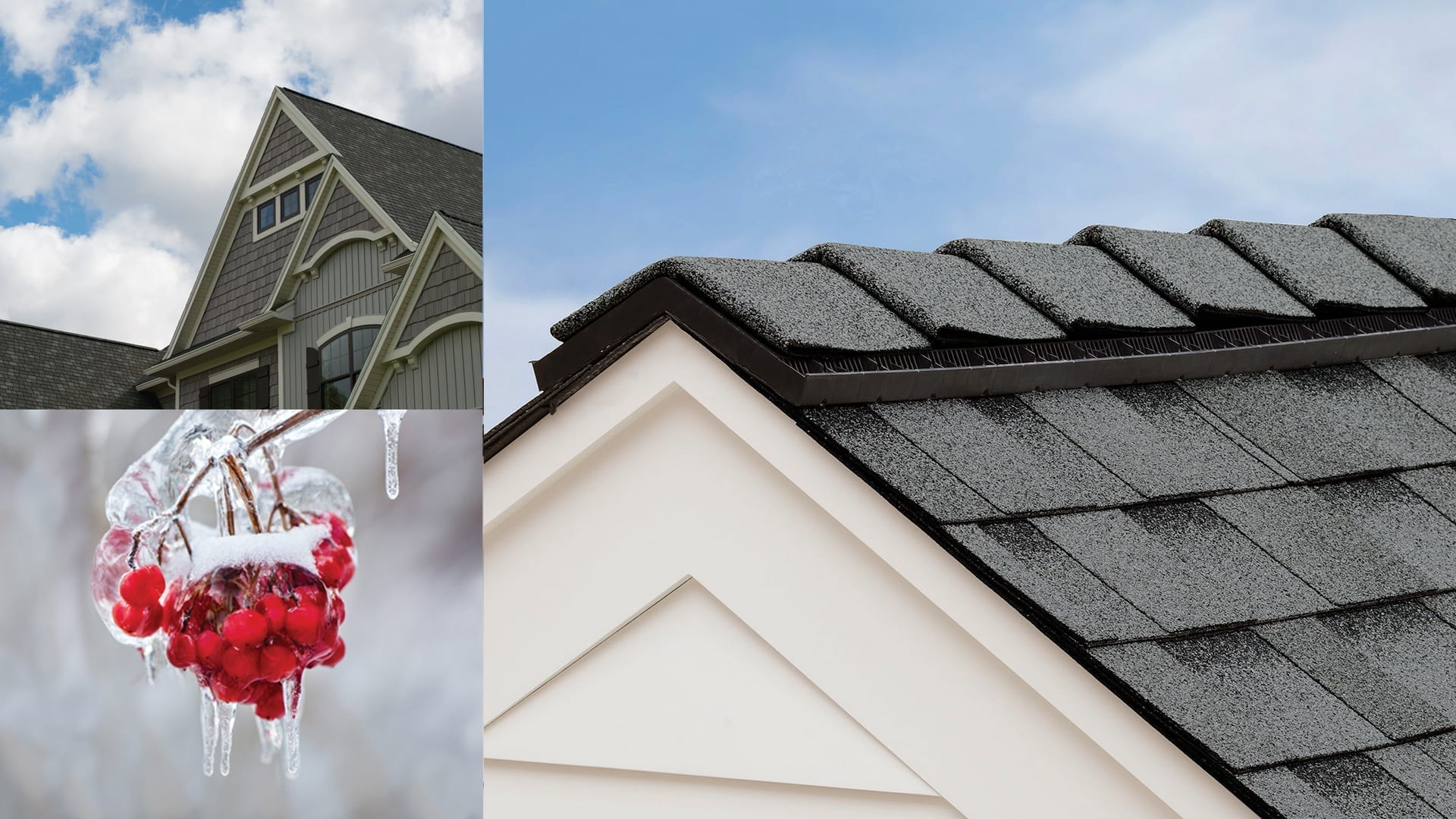 montage of ridge caps and berries in winter