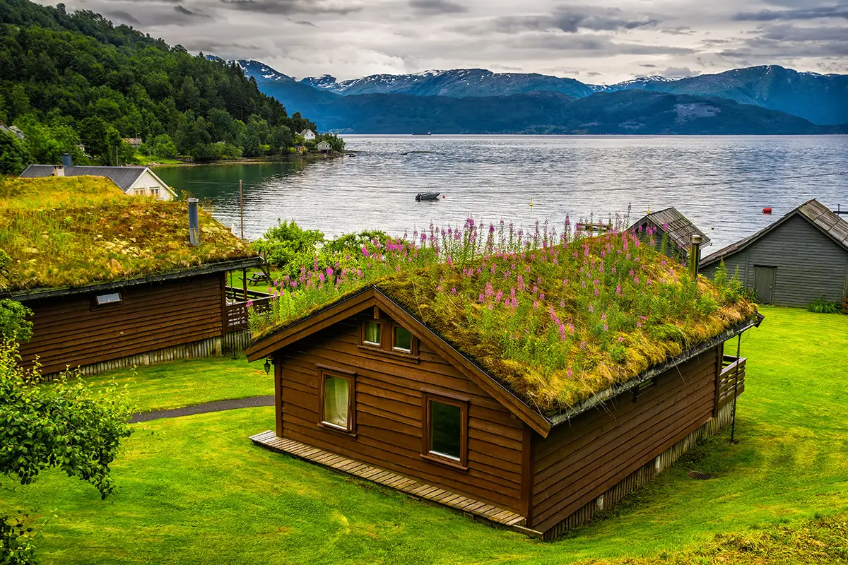 Norwegian home with grass being grown on its sloped roof