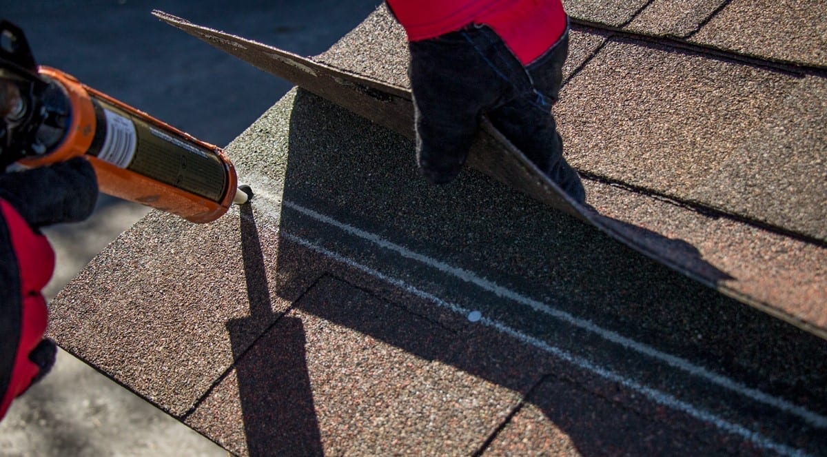 spot of asphalt plastic cement being applied to a shingle