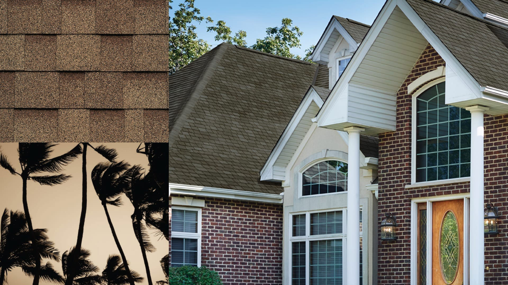 montage of a house, shingles, and palm trees