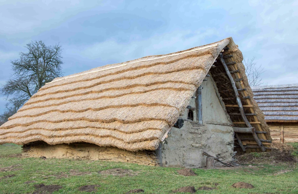 Ancient straw roof