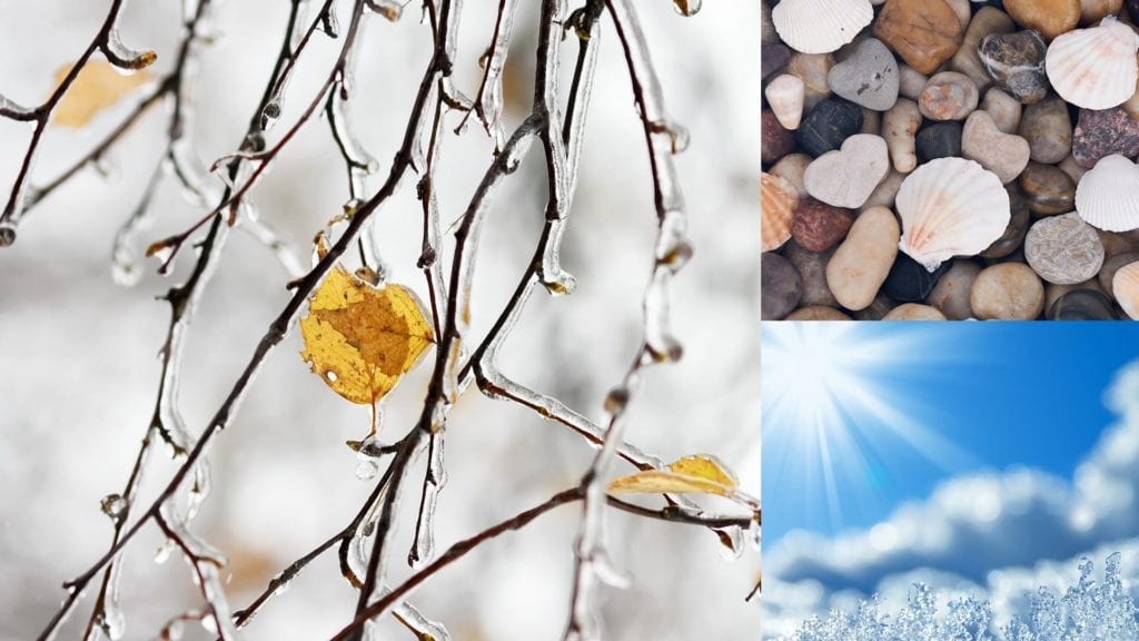 montage of shells, rocks, sky, and ice-covered twigs