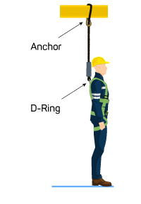 roofer with safety harness showing D-ring and anchor