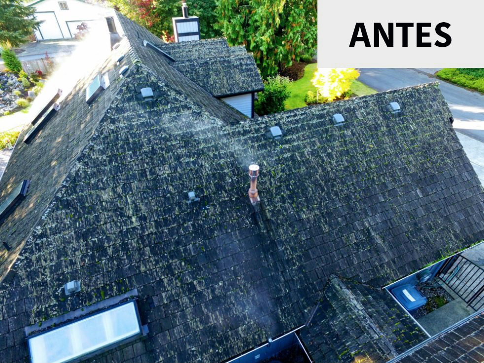 old roof before being reroofed with new shingles